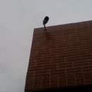 출광주유소 이미지