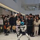 휴먼로봇은 어디까지 왔을까? 이미지