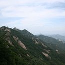 신령의원 Daum카페
