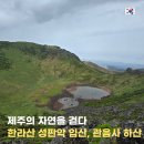 UR(제주시)-[일주동로]-상-16 | 제주 한라산 탐방 예약 준비물 옷차림 성판악 관음사 난이도