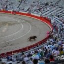 퀘렌시아 이미지