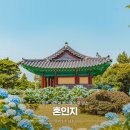 제주 수국 명소 혼인지, 코발트빛 여름 산책 코스💙