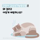 학익동물병원 이미지