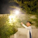 소소하녹 이미지