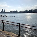 부산여행, 광안리 애견동반 호텔 * 브라운도트(민락점) 1박 후기 / 호캉스