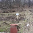 펄벅공원 이미지