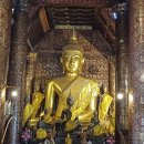 Laos-Luang Prabang-Wat Xieng Thong temple 이미지
