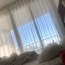 제라마티니 | 2019.07 늘렁늘렁 호주여행(6) ㅡ 여행의 정점 골드코스트, 그리고 SUP YOGA 💕
