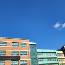 서울송중초등학교 이미지