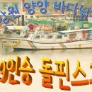 하조대해수욕장 야영장 이미지