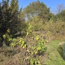 방동농장 이미지