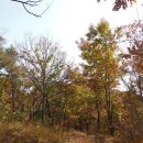 장원초등학교 이미지