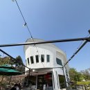 대대리135 | 행주산성 카페 대대리135 내돈내산 후기