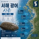 서해대학교 | [서해 대광어 시즌] 5월 조황 총정리와 6월 전망, 언제 어디를 노려야 하나