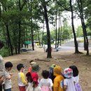 삼운사유치원 이미지