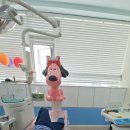 물금어린이치과의원 이미지