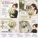 해밀호텔 - 6655 | 부산 해밀스튜디오 웨딩 촬영 부케 배송 후기(feat. 히야신스부케)