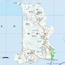 신안군의 섬 9. 신안군 지도읍 선도 수선화 축제. 이미지