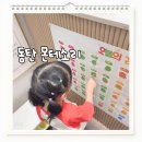 숲속하나몬테소리어린이집 | 동탄 몬테소리 스스로 원리를 찾는 4살 유아 수학 수업 후기
