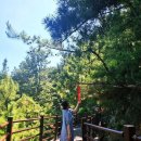 하조대 주차장 화장실 이미지