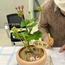 상화경로당 네이버블로그