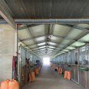 거창 오로라 승마장 이미지