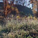 직업상담사 필기 - 직업상담학 이미지