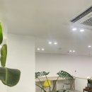 뚜레쥬르노량진 | 노량진고시원 윤스테이 노량진 원룸텔 솔직후기 조명부터 가격까지 다 까발림