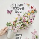 2024.4.27.주말 🌹세상에서 제일 기분 좋은 사람🌹 이미지