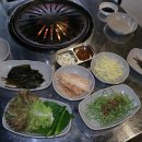 민물장어나라 이미지