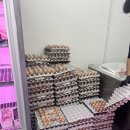 한백고기마트 | [한백축산] 경산 사동 정육점 추천 맛도 가격도 좋은곳