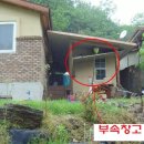 봉곡동231 이미지