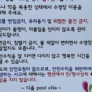 경주 디올 풀빌라 네이버블로그