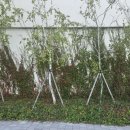 사우약수터 이미지