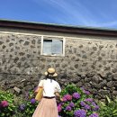 안성리-6 이미지