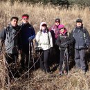 매봉산2 이미지