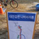 나비마라톤대회(대전 유등천 20150920)... 이미지