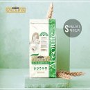 알14 이미지