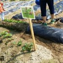 주희농장 이미지