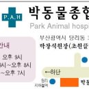 박동물종합병원 이미지