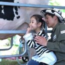 신선한 목장 이미지