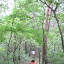 신선약수터 이미지