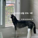 휴식가 | 25년 10월 1주차 기록_추석이라 고향방문! 조금 늦은 일기