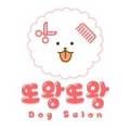 또왕또왕DogSalon