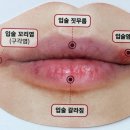 풍세일번약국 이미지