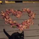 경기동물병원 이미지