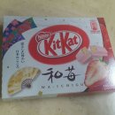 킥캣 이미지