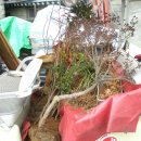 춘향골농업협동조합 이미지