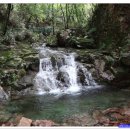 수락 농장 이미지