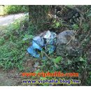 김동순농장 이미지